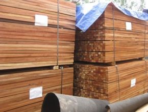 Cung cấp các loại gỗ