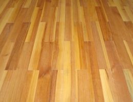 Cách phân biệt và nhận dang gỗ tràm