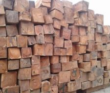 Cung cấp các loại gỗ