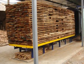 Gỗ thông sấy 01