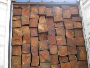 Cung cấp các loại gỗ